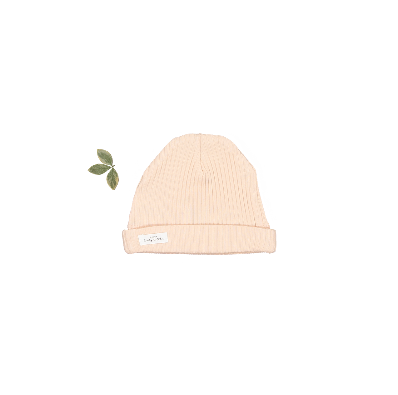 The Hat in Powder