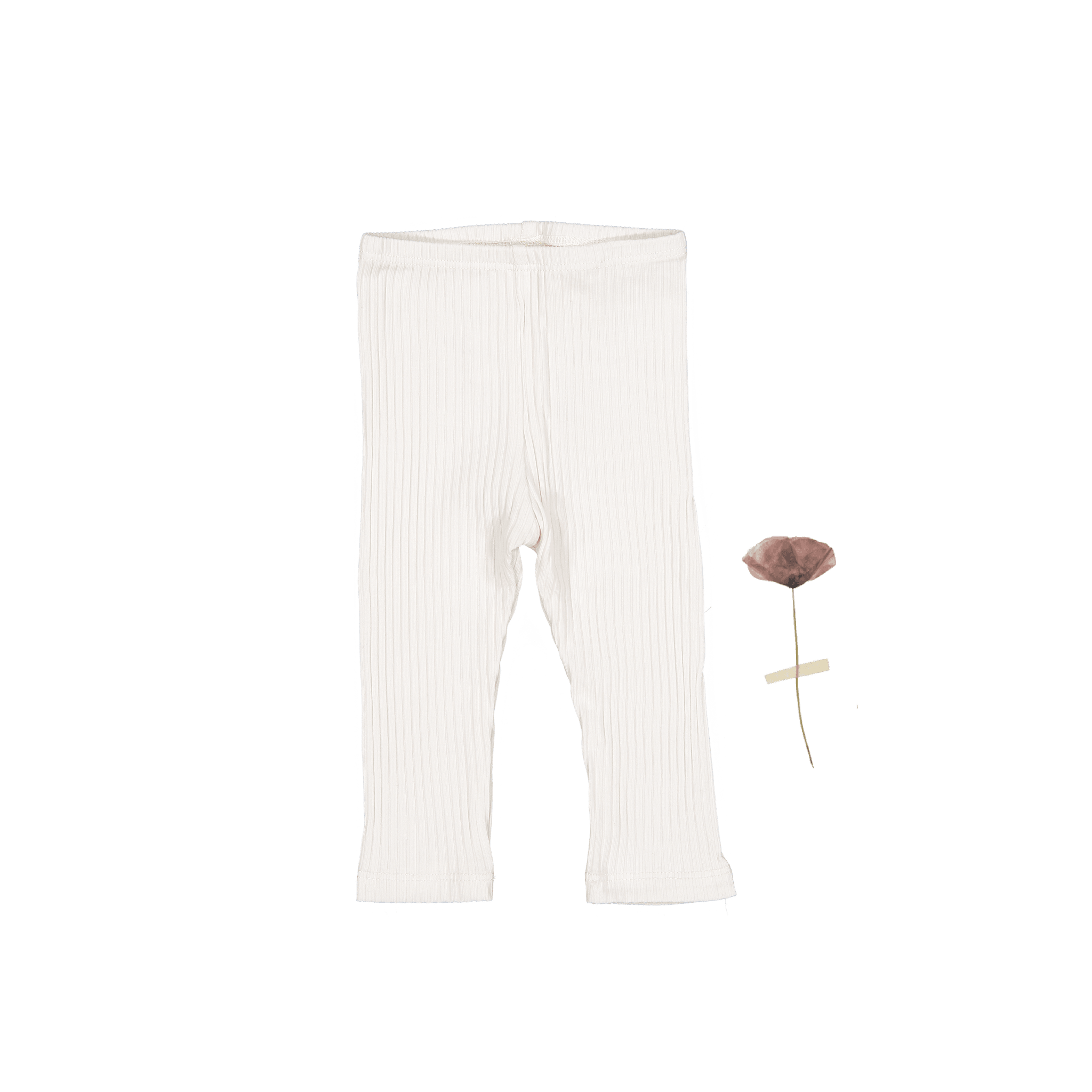 The Legging in Pearl