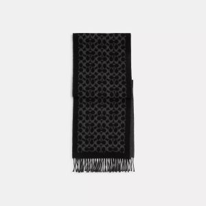 Coach Outlet Signature zweifarbiger Schal