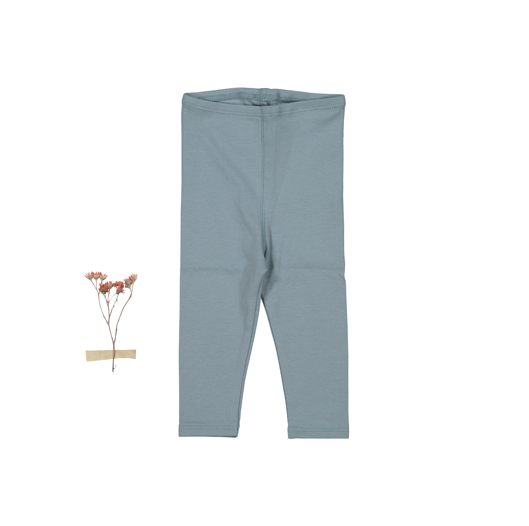 The Legging in Ocean
