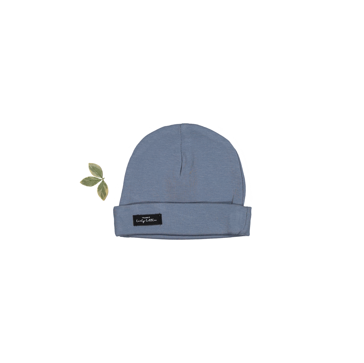 The Midnight Hut