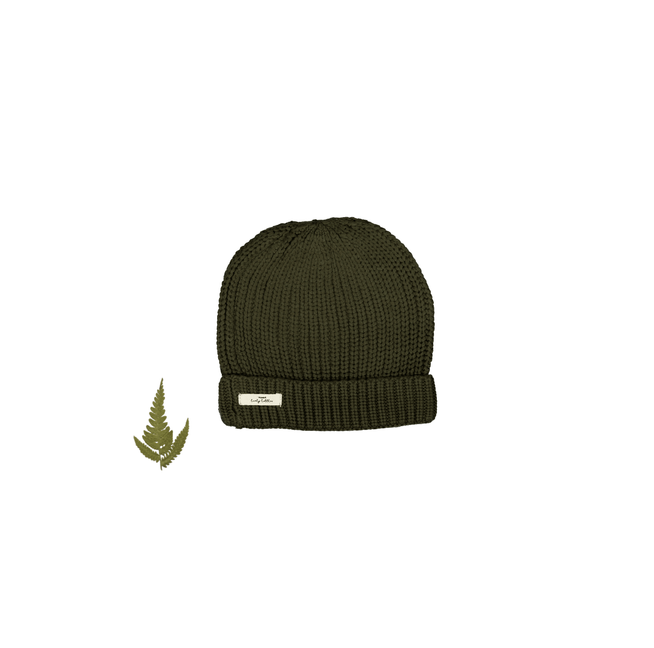 The Chunky Knit Hat in Moss